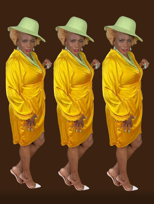 Long Sleeve Silk Dress